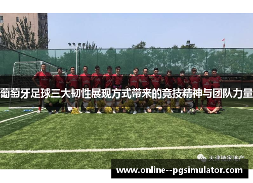 葡萄牙足球三大韧性展现方式带来的竞技精神与团队力量