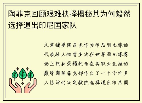 陶菲克回顾艰难抉择揭秘其为何毅然选择退出印尼国家队